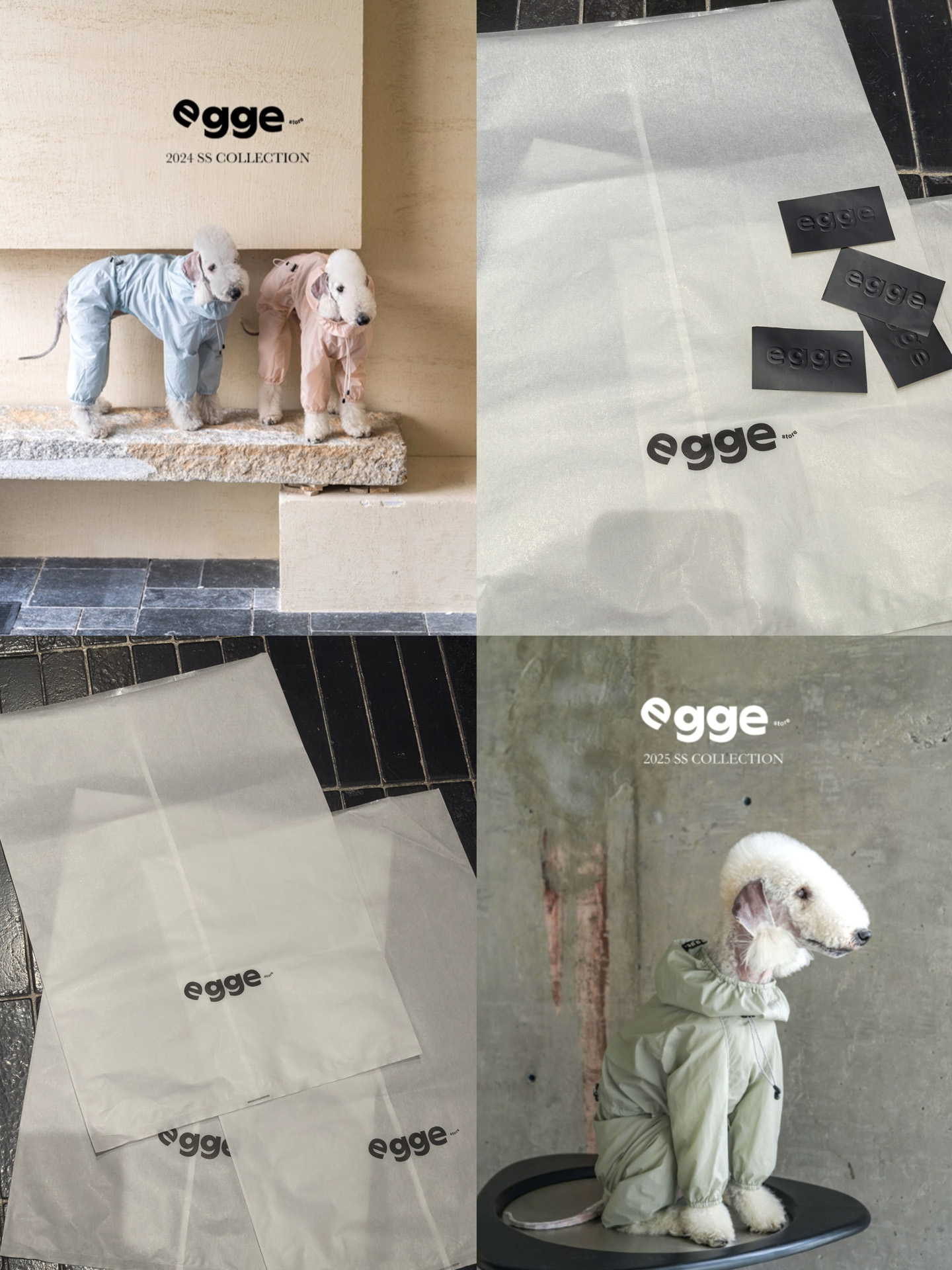 EGGE设计作品1